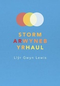 Cover: Storm ar Wyneb yr Haul - Cyhoeddiadau Barddas