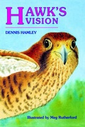 Cover: Hawk's Vision - Solidus