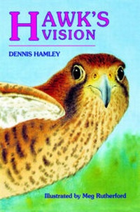 Enlarge image Cover: Hawk's Vision - Solidus
