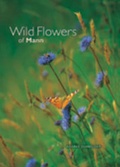 Cover: Wildflowers of Mann - Lily Publications