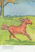 Cover: Taffy's Adventure in the New Forest - Wessex Books