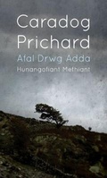 Cover: Afal Drwg Adda - Gwasg Gee (Cyhoeddwyr) Cyf