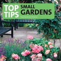 Cover: Top Tips for the Small Garden - Redbush Entertainment Ltd