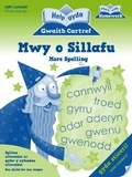 Cover: Help gyda Gwaith Cartref : Mwy o Sillafu - Atebol