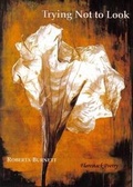 Cover: Trying Not to Look - Flarestack Publishing