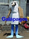 Cover: Galapagos - Calouste Gulbenkian Foundation