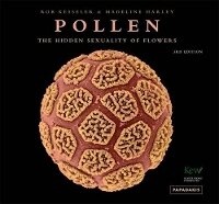 Enlarge image Cover: Pollen - Papadakis