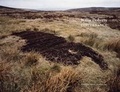 Cover: Willie Doherty: Disturbance - Hugh Lane Gallery