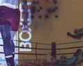 Cover: Boxer - Institute of International Visual Arts (INIVA)