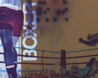 Enlarge image Cover: Boxer - Institute of International Visual Arts (INIVA)