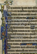 Cover: Studies in Manuscript Illumination, 1200-1400 - Pindar Press