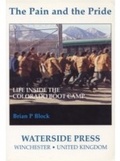 Cover: Pain and the Pride - Waterside Press