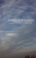 Cover: Let's be Alone Together - Stinging Fly Press