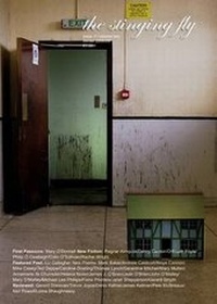 Enlarge image Cover: The Stinging Fly: Issue 11 - Stinging Fly Press