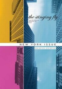 Enlarge image Cover: The Stinging Fly: Issue 20 v. 2 - Stinging Fly Press