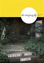 Cover: The Stinging Fly Spring: Issue 21 - Stinging Fly Press