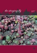 Cover: The Stinging Fly: Issue 22 - Stinging Fly Press