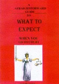 Cover: A Straightforward Guide to What to Expect When You Go to Court - Straightforward Publishing