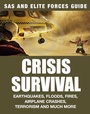 Cover: How to Survive a Disaster - Amber Books