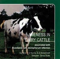 Abbildung von: Lameness in Dairy Cattle - Computer-based Learning In Vetinerary Education (C