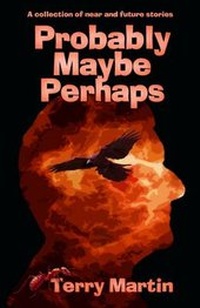 Enlarge image Cover: Probably Maybe Perhaps - The House of Murky Depths