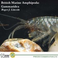 Cover: British Marine Amphipoda - Pisces Conservation Ltd