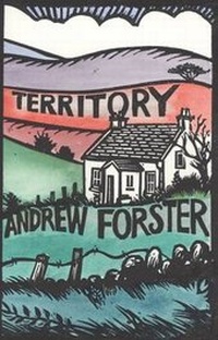Enlarge image Cover: Territory - Flambard Press