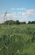 Cover: To Wake to This - Dedalus Press