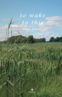 Enlarge image Cover: To Wake to This - Dedalus Press