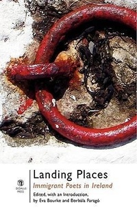 Enlarge image Cover: Landing Places - Dedalus Press