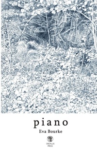 Enlarge image Cover: Piano - Dedalus Press