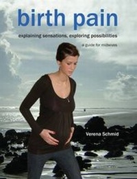 Enlarge image Cover: Birth Pain: Explaining Sensations, Exploring Possibilities - Fresh Heart Publishing