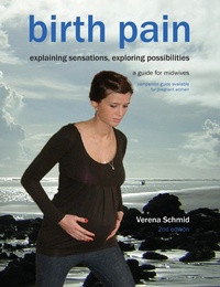 Enlarge image Cover: Birth Pain: Explaining Sensations, Exploring Possibilities - Fresh Heart Publishing