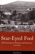 Cover: Star Eyed Fool - Mint Press