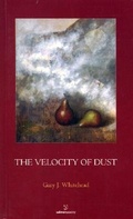 Cover: The Velocity of Dust - Salmon Publishing