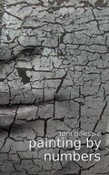 Cover: Painting by Numbers - Crooked Cat Publishing