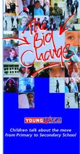 Cover: Tales of Transition - Young Voice