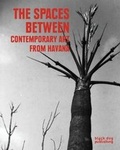 Cover: The Spaces Between - Black Dog Publishing London UK