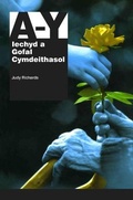 Cover: Llawlyfr Iechyd a Gofal Cymdeithasol A-Y - Gwasg Taf Cyf