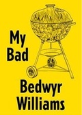 Cover: Bedwyr Williams - Ikon Gallery Ltd