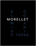 Cover: Francois Morellet - Ikon Gallery Ltd
