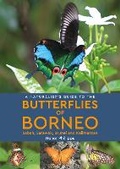 Cover: A Naturalist's Guide to the Butterflies of Borneo - John Beaufoy Publishing Ltd