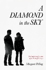 Cover: A Diamond In The Sky - Honno Ltd
