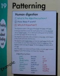 Cover: Notemaking Posters for Children: Pack 2 - Neate Publishing Ltd