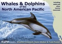 Abbildung von: Whales and Dolphins of the North American Pacifi - Including Seals and Other Marine Mammals - WILDGuides