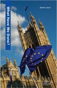 Enlarge image Cover: What Have We Done? - Civitas