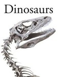 Cover: Encyclopedia of Birds - 3C Publishing Ltd