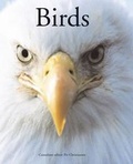Cover: Encyclopedia of Dinosaurs - 3C Publishing Ltd