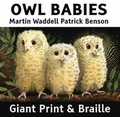 Cover: Owl Babies - Access2Books