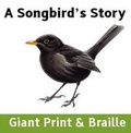 Cover: A Songbird's Story - Access2Books